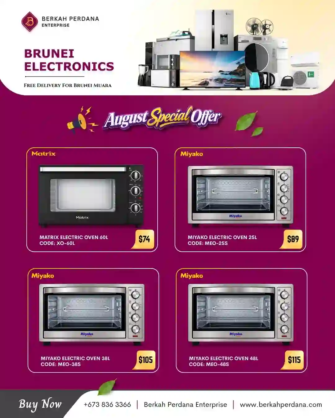 Miyako & Matrix Electric Oven